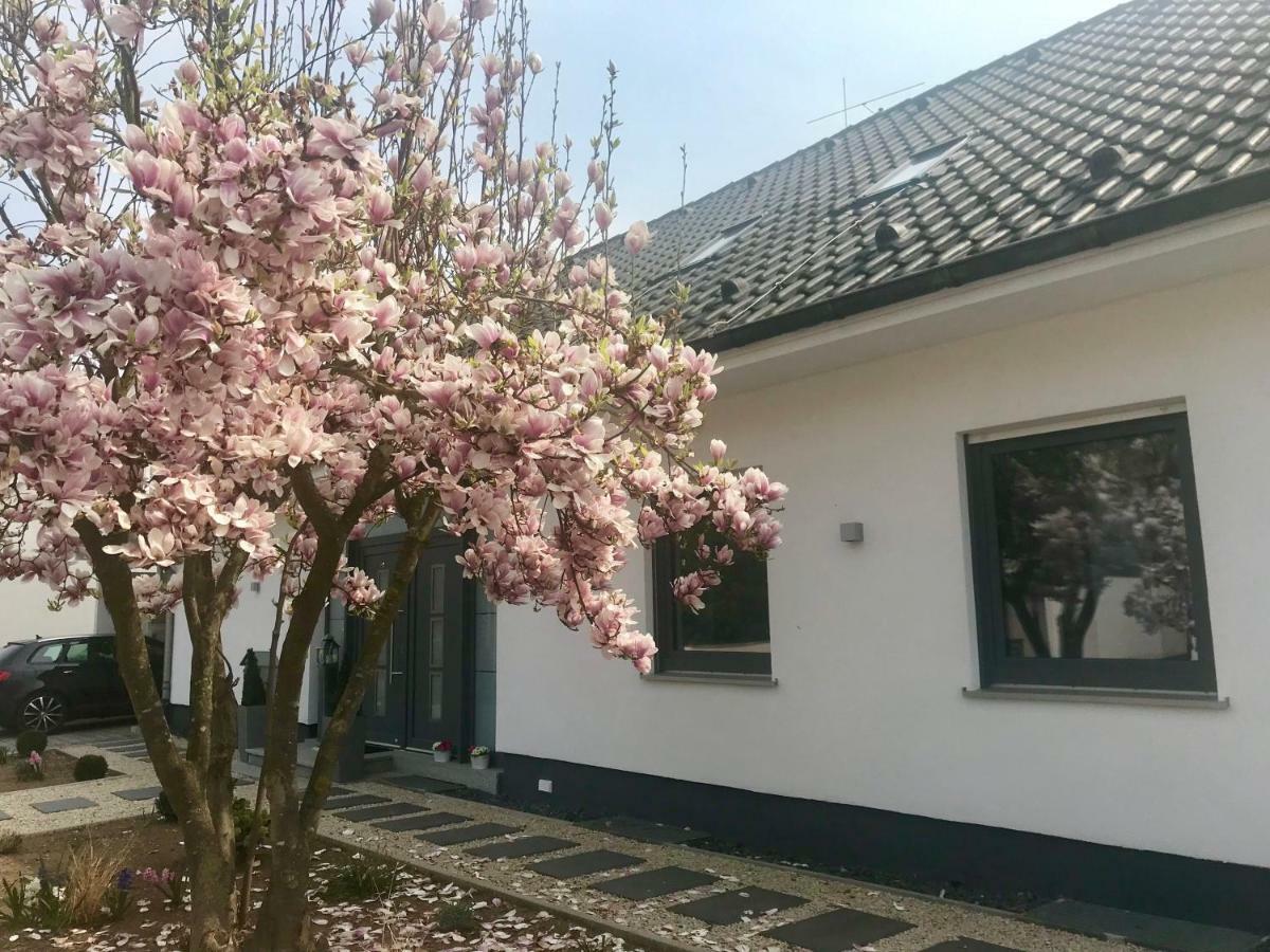 Appartement Weinurlaub à Sulzfeld am Main Extérieur photo